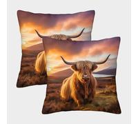 MEFESE 3D Printed Highland Cattle Throw Pillow Covers Cow Square Cushion Cover Garden Cushion Super Soft Pack of 2 for Home Couch Sofa Decorative, Gifts 50x50cm