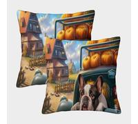MEFESE Countryside Cottage Dog Print 3D Printed Pillow Cover Set of 2 Microfiber Cushion Cover Pillowcase for Sofa Bedroom Adults Easy Care Home Decor 50x50cm