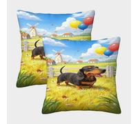 MEFESE Countryside Dog Balloon Microfiber Cushion Cover Set of 2 3D Digital Printing Pillow Cover for Adults Sofa Bedroom 50x50cm