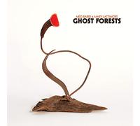 Meg Baird And Mary Lattimore - Ghost Forests [VINYL]