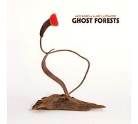 Meg Baird & Mary Lattimore : Ghost Forests VINYL 12" Album Coloured Vinyl