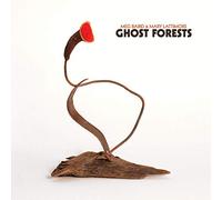 Meg Baird & Mary Lattimore - Ghost Forests [VINYL]