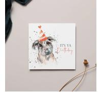 Meg Hawkins Its Ya Birthday Card