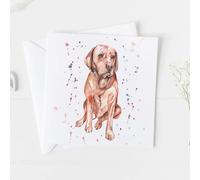 Meg Hawkins Labrador Red Card