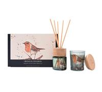 Meg Hawkins Mini Candle & Diffuser Set - Robin Orange & Cinnamon Scent - Gift Box With Watercolour Wildlife Design - Cosy Home Fragrance Gift