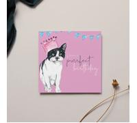 Meg Hawkins Purrfect Birthday Card