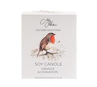 Meg Hawkins Robin Design Orange & Cinnamon Fragrance Candle 250g, White (CL474)