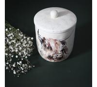 Meg Hawkins Storage Canister - Highland Cow Meg Hawkins Multi One Size