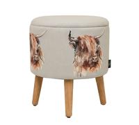 Meg Hawkins Storage Footstool - Highland Cow