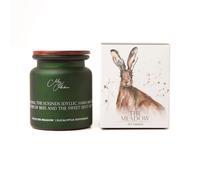 Meg Hawkins The Meadow Candle