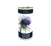 Meg Hawkins - The Thistle, Stem Ginger Biscuits, Spicy & Invigorating, 160 g Drum