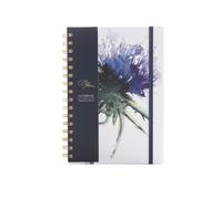 Meg Hawkins The Thistles A5 Notebook - Scottish Thistle Design, Nature Inspired Lined Journal & Writing Notebook A5 Size