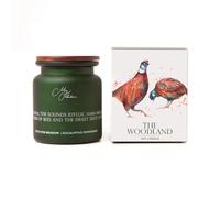 Meg Hawkins The Woodland Candle