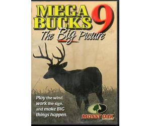 Mega Bucks 9: The Big Picture