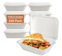 Mega Packaging 250 x Eco-Friendly Clamshell Takeaway Boxes, 7x5 inch, 21oz / 600ml, Made from Natural Sugarcane Pulp, Disposable Takeaway Container, Biodegradable Home Compostable Sugarcane bagasse