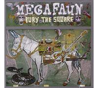Megafaun - Bury the Square