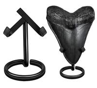 Megalodon Shark Tooth Display Stand (2 Sets), Medium & Large Tooth Holders, Rust-Resistant 5mm Thick Wire Metal Stand, No Assembly Required, Elegant Fossil Collector Display for Megalodon Teeth