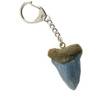 Megalodon Shark Tooth Keychain, Resin Fossil Replica, Educational Collectible