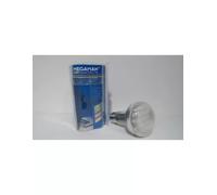 Megaman Electric Lamp Reflector Ingenium R63 11W E27 Warm 168323