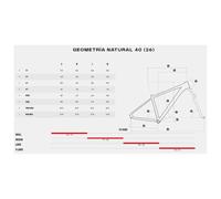 Megamo Natural 40 29´´ Acera 2026 Mtb Bike Grey M M Night Grey