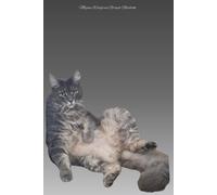 Megan Wingrove Notebook | A5 Graph Paper | 200 Pages | Paperback | Just Chilling Comfy Cat Cover: Suitable for all ages