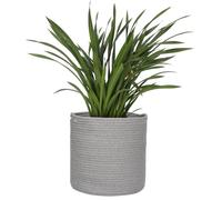 MEGASKET Cotton Rope Plant Basket, Woven Baskets Planter for 11 inch Pot, Round Indoor Tree Pot Cover, Storage Bin Organizer, Modern Basket for Plants and Home Decor, 12.5”X12.5”, Gray