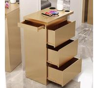 MegLob Stainless Steel Utility Salon Stand, Heavy Duty Barber Shop Storage Workstation, Professional Hairdressing Storage Trolley Cart, Universal Metal Salon Stand for Stylist,Gold Pro