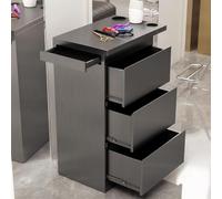 MegLob Stainless Steel Utility Salon Stand, Heavy Duty Barber Shop Storage Workstation, Professional Hairdressing Storage Trolley Cart, Universal Metal Salon Stand for Stylist,Black Pro