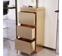 MegLob Stainless Steel Utility Salon Stand, Heavy Duty Barber Shop Storage Workstation, Professional Hairdressing Storage Trolley Cart, Universal Metal Salon Stand for Stylist,Gold