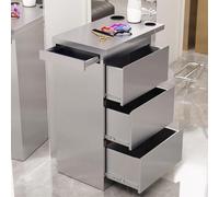 MegLob Stainless Steel Utility Salon Stand, Heavy Duty Barber Shop Storage Workstation, Professional Hairdressing Storage Trolley Cart, Universal Metal Salon Stand for Stylist,Silver Pro