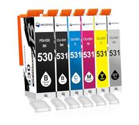 MEGOFFICE 530XXL 531XXL Ink Cartridges Replacement for PGI-530 CLI-531 XXL Compatible for Canon Pixma TS8750 TS8751(PGBK/Black/Cyan/Magenta/Yellow/Grey, 6 Pack)