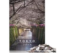 Meguro River And Sakura Puzzle Family Challenging Games 100% Recycled Cardboard Jigsaw Puzzle for Adult Children Birthday Present 1000pcs (38x26cm)