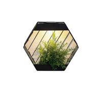 MEHRU Hexagonal Wall Planter Solar Light Wall Mounted LED Outdoor Garden Light Solar Powered Wall Planter with Warm White Light Decorative Fence & Patio Lighting for Outdoor Spaces