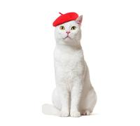 MeiAOBest Dog Beret Hat,Pet Cap with Adjustable Elastic Strap, Dog Costume Hair Accessory Photo Props Princess Hat for Cat Small Medium Large Dog_Red