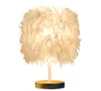 Meichoon Feather Table Lamp USB Plug-in LED Decorative Ambient Night Light Fixed Warm Light Soft Eye Protection for Bedroom Living Room LE22 White