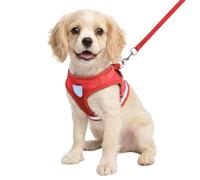Meichoon Summer Dog Harness No Pull Breathable Mesh Reflective Vest for Small Medium Dogs Anti Escape Puppy Harness with No Choke Design Lightweight for Walking Red S