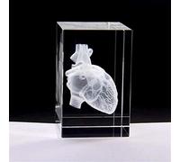 MEIGUI Heart Anatomy Model Design Cube Crystal 3D Crystal Engraving With Detailed Visible Blood System For Souvenirs