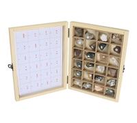 MEILVMEIJI Educational Geology Tool Set Ores Rock Specimens In Wooden Case For Teens Science Learning Geology Teaching