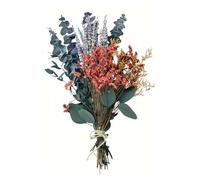 MEILVMEIJI Pack Of 40 Natural Dried Trees Stems And Lavender Bunches Long Lasting for Shower Hanging Decors Home Foliage