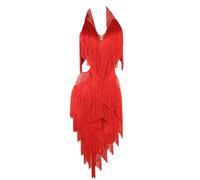 MEILYA Tassel Latin Dance Dress V-Neck Women's Professional Ballroom Dance Dresses Straps Cha Cha Dance,Red,S