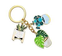 Meimimix Cute Fashion Keychain Ladies Succulent Potted Succulent Shaped Keychain Golden Car Keychain Jewelry Gift for Friends, Green, Normal