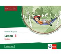 Mein Anoki-Übungsheft. Lesen 3. Fördern. Übungsheft Klasse 3