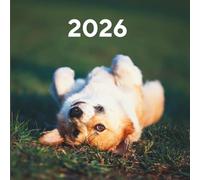 Mein Jahr 2026 - Planen, Reflektieren & Wachsen: Farbig illustrierter Kalender mit Monats- und Wochenübersichten, To-dos und Reflexionsfragen