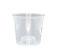 meindekoartikel 12 Orchid Pots for Orchids Plastic Transparent (Diameter 11.5 cm x Height 11 cm)