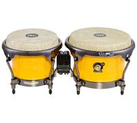 Meinl Artist Alexandra Alban Bongos