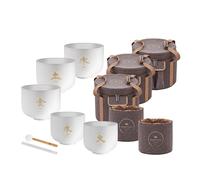 Meinl Sonic Energy 5-piece TCM Crystal Singing Bowl Elements Set
