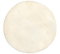 Meinl TS-F-10 7" Flat True Skin H.