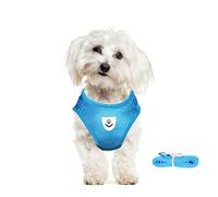 meioro No Pull Dog Harness and Lead Set for Small Medium Dog Cat,Reflective Adjustable Soft Mesh Pet Vest Harnesses for Walking,Breathable Padded Easy Control Step-in Puppy Kitten Vest with 1.2m Leash
