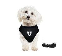 meioro No Pull Dog Harness and Lead Set for Small Medium Dog Cat,Reflective Adjustable Soft Mesh Pet Vest Harnesses for Walking,Breathable Padded Easy Control Step-in Puppy Kitten Vest with 1.2m Leash