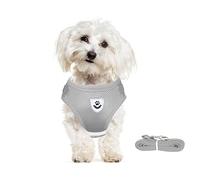 meioro No Pull Dog Harness and Lead Set for Small Medium Dog Cat,Reflective Adjustable Soft Mesh Pet Vest Harnesses for Walking,Breathable Padded Easy Control Step-in Puppy Kitten Vest with 1.2m Leash